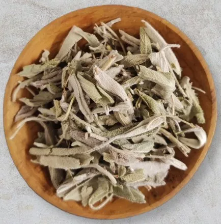 Salbeibl�tter ganz