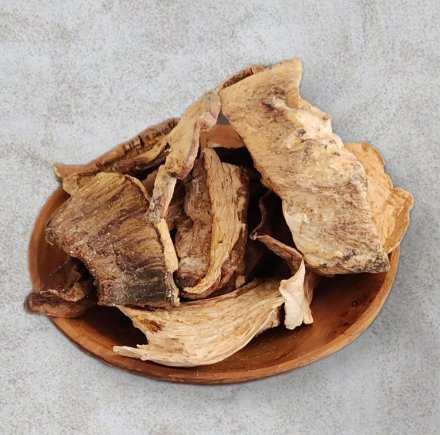 Steinpilze in Scheiben