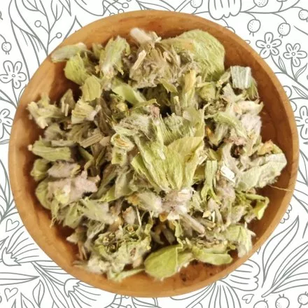 Griechischer Bergtee