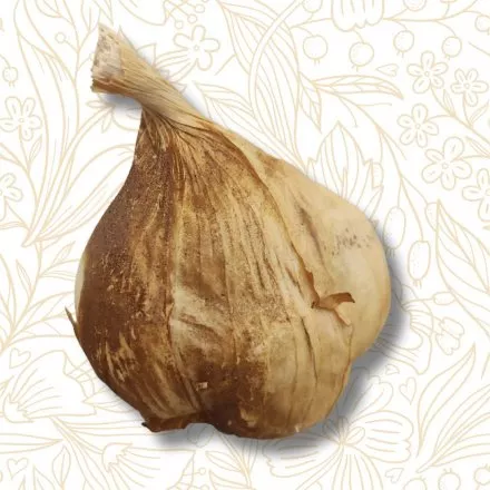 1 St�ck ger�ucherter Knoblauch