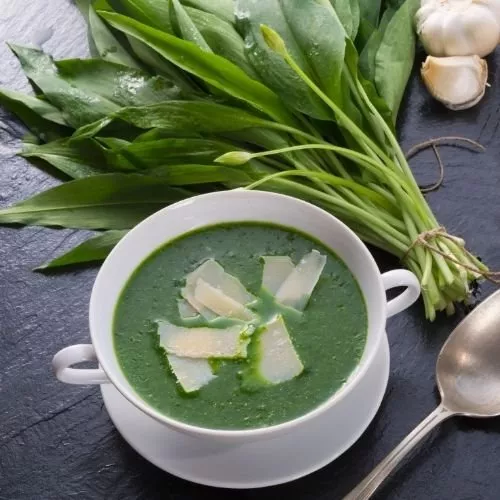 B�rlauch geschnitten