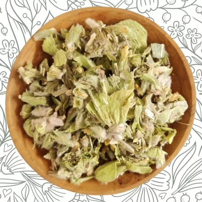 Griechischer Bergtee