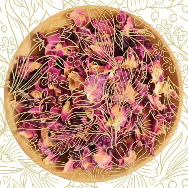 Rosenbltenbltter rot ganz