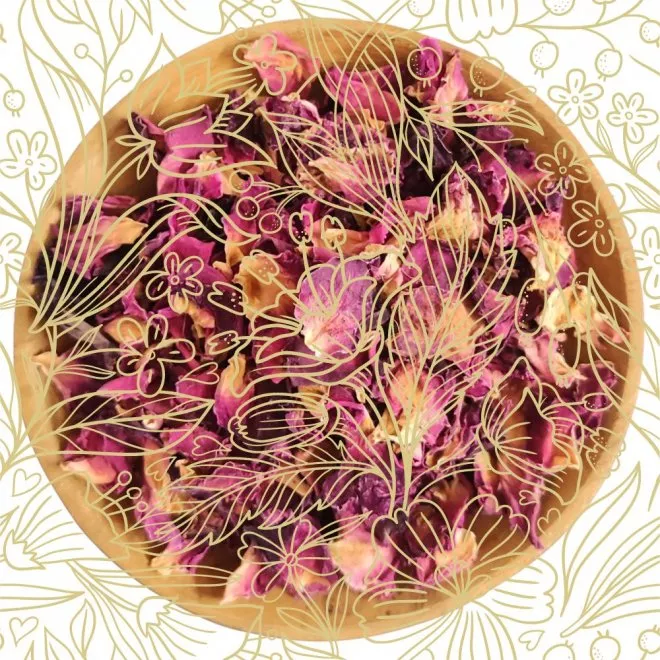 Rosenbl�tenbl�tter rot ganz