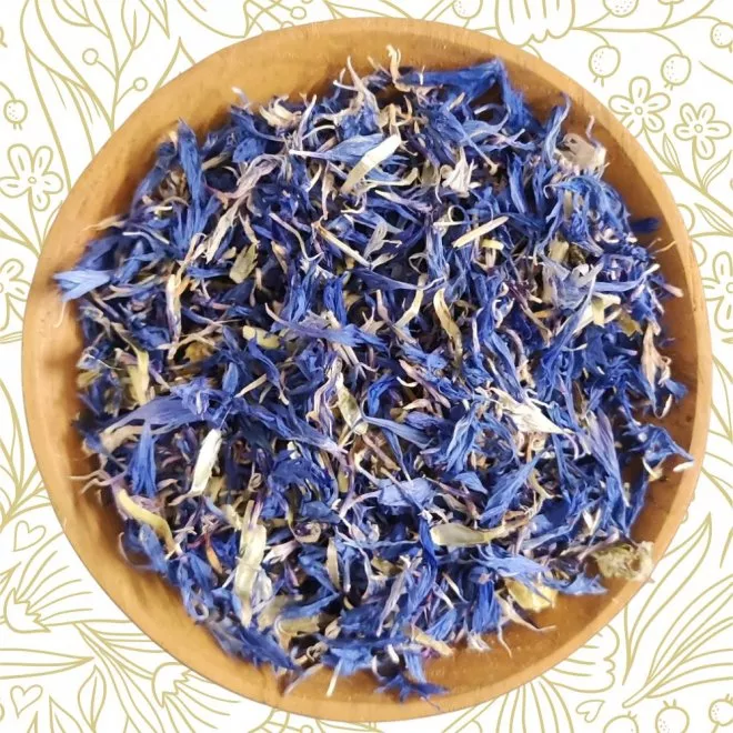 Kornblumenbl�ten blau ganz