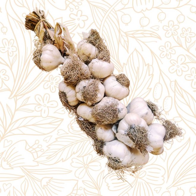 franzsischer Knoblauch (14-15 Knollen)