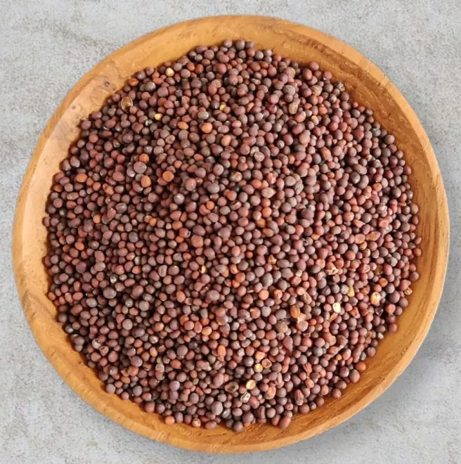 Senfk�rner schwarz