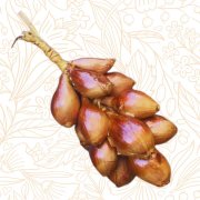 gerucherte Schalotten (ca. 1kg Netz)