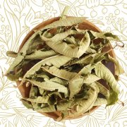 Verveine (Eisenkraut)