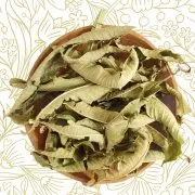 Verveine (Eisenkraut)